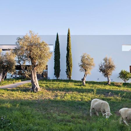 Villa Extramuros Arraiolos Exterior photo